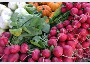 wochenmarkt_21cpixabay