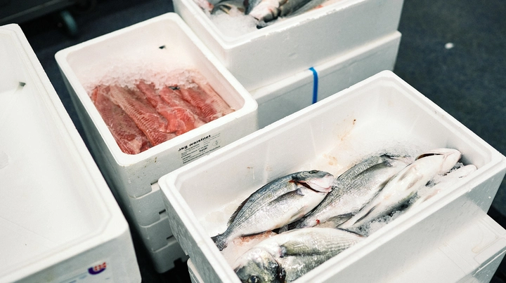 Galerie-Bild 7: Frischer Fisch in Kühlboxen