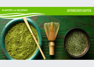 planten-un-blomen