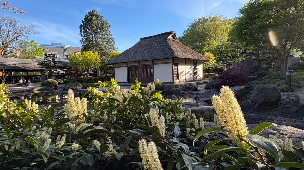 Japanischer Garten mit Teehaus in Planten un Blomen