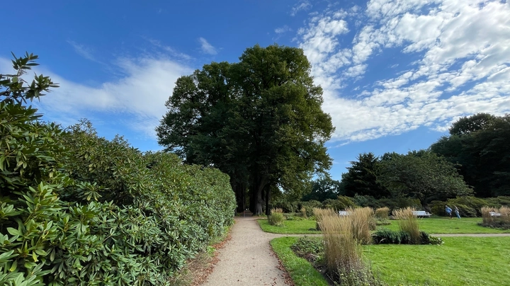 Galerie-Bild 1: Hirschpark