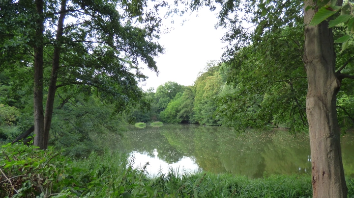 Galerie-Bild 7: Wesselhöftpark