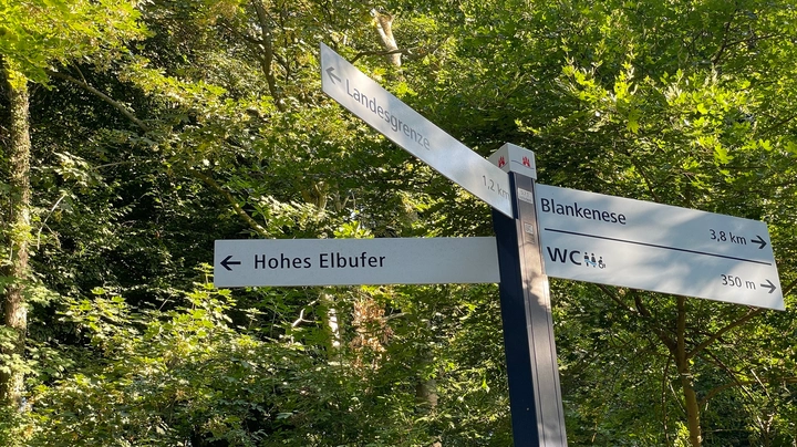 Galerie-Bild 5: Wegweiser in der Tinsdaler Heide