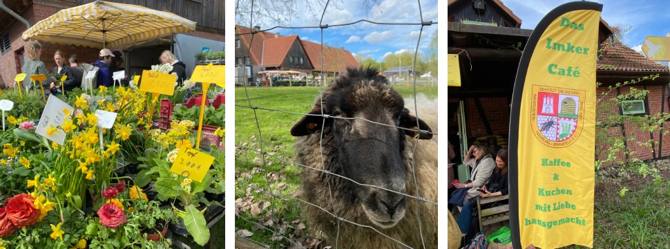 Besucher tummeln sich auf dem Gut Karlshöhe
