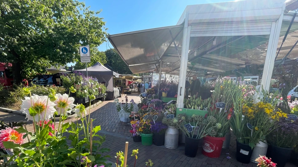 Marktstände auf dem Wochenmarkt in Blankenese