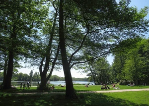 Liegewiese im Harburger Stadtpark im Mai