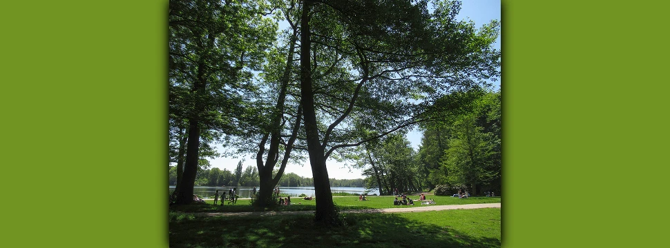 Liegewiese im Harburger Stadtpark im Mai