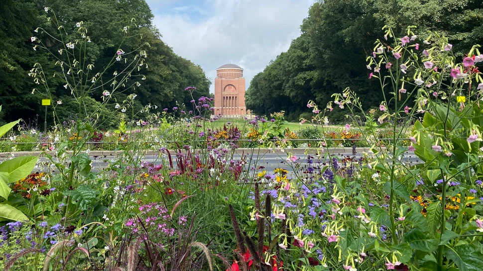 Blumen mit dem Planetarium im Stadtpark Hamburg