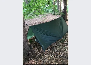Tarp im Wald
