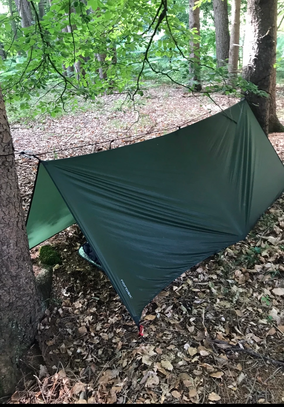 Tarp im Wald Tarp im Wald