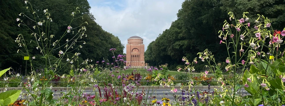 Planetarium durch ein Blumenfeld fotografiert