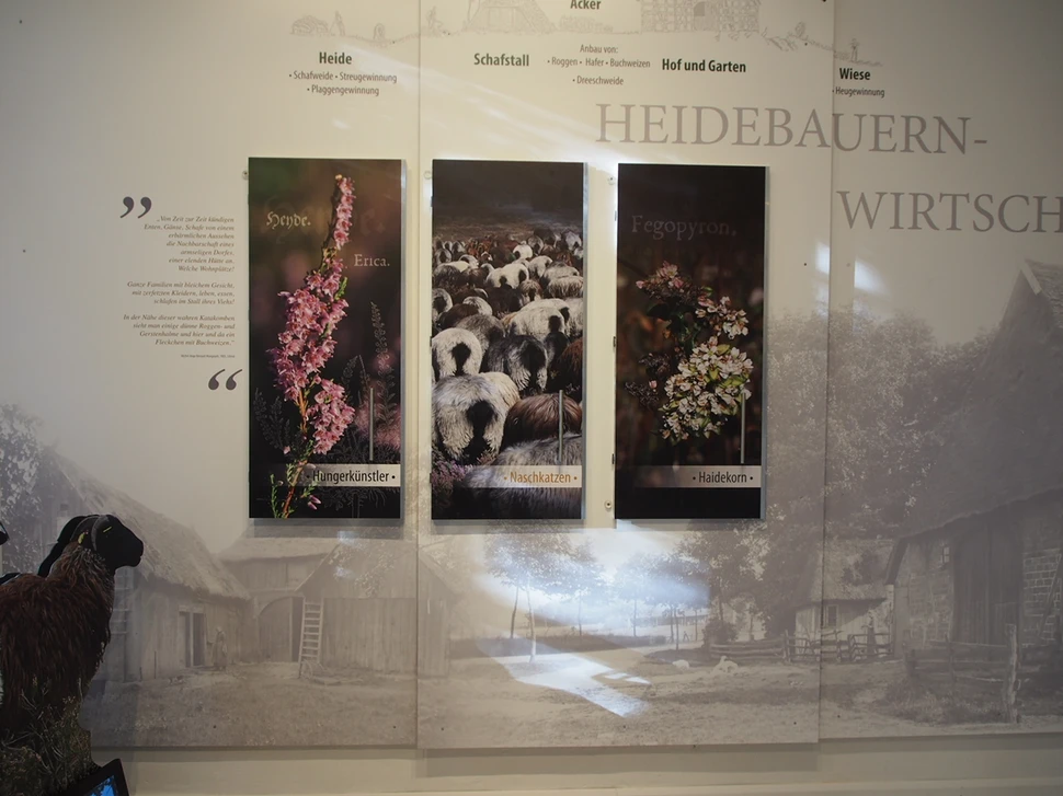Ausstellung „Zügig in die Zukunft – vom Heidedorf zum Eisenbahnknotenpunkt“ Ausstellung „Zügig in die Zukunft – vom Heidedorf zum Eisenbahnknotenpunkt“