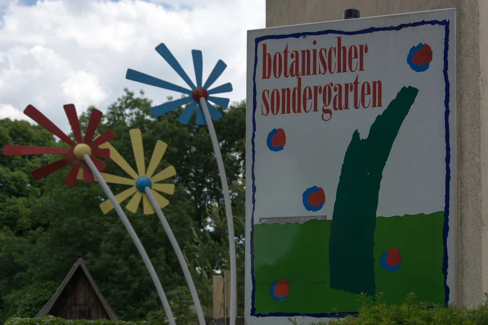 Logo Botanischer Sondergarten und IGA Blume