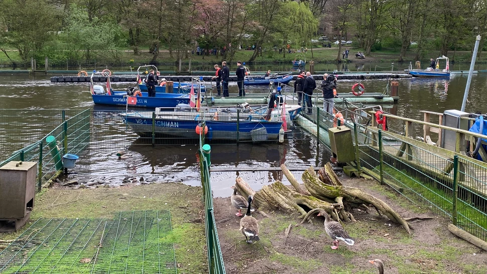 Boote am Anleger des Schwanenwesens am Eppendorfer Mühlenteich