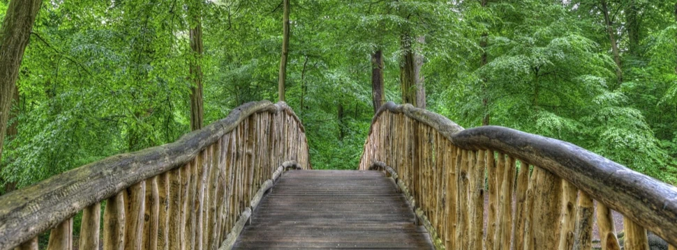 Brücke im Jenischpark, © Heiko Prenz / pixabay.com
