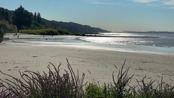 Galerie-Bild 4: Elbstrand in Wittenbergen