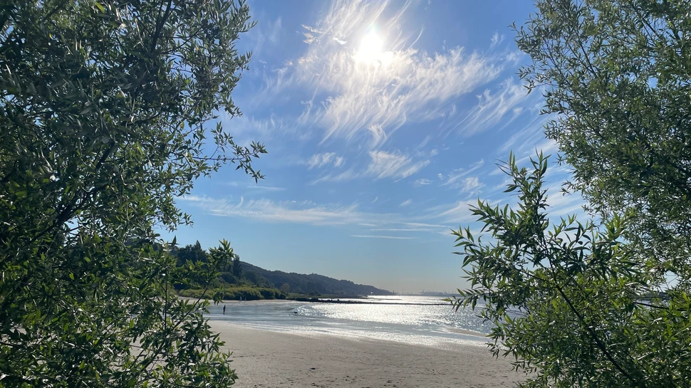Elbstrand in Wittenbergen