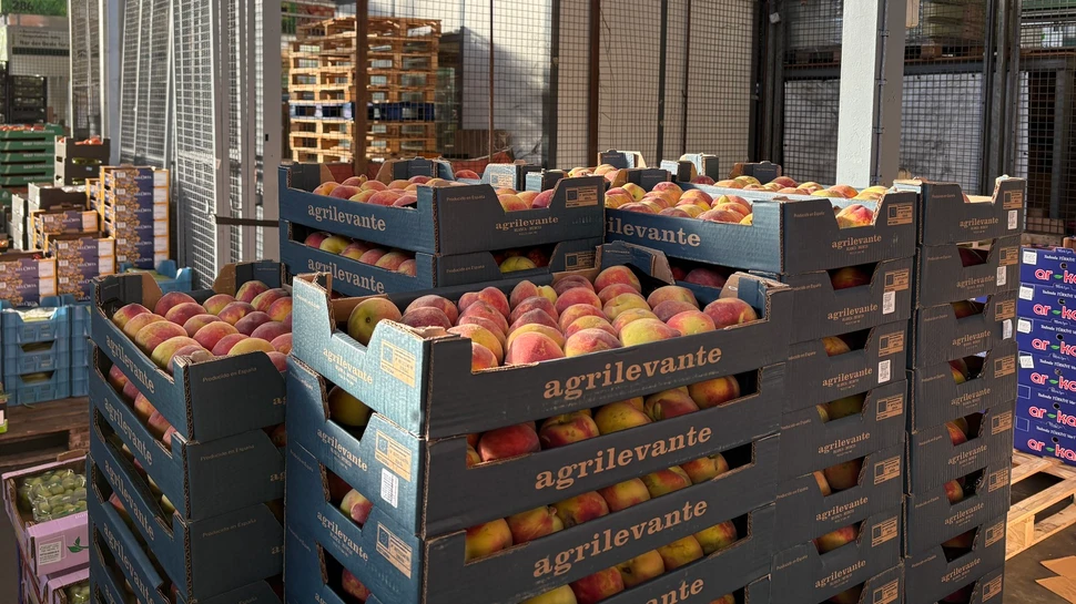 Obstkisten mit Pfirsichen gestapelt