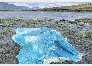 25-12-07 GRUPPE_Chili_Seitz__ScaleWidthWzYwMF0 Chili Seitz