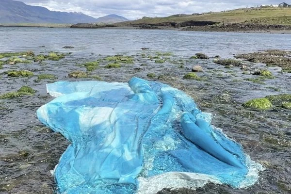 25-12-07 GRUPPE_Chili_Seitz__ScaleWidthWzYwMF0 Chili Seitz