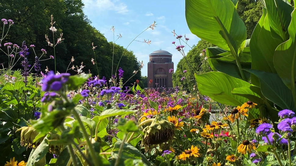 Planetarium Hamburg durch Blumen fotografiert