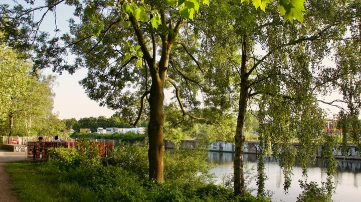 Galerie-Bild 2: Veringkanal in Wilhelmsburg