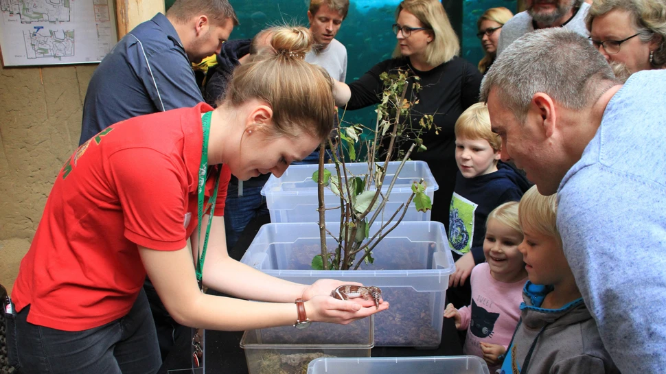 Zooschule mit Familien Zooschule, © Tierpark Hagenbeck