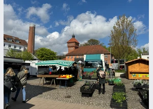 Wochenmarkt-in-Alsterdorf_2024-04