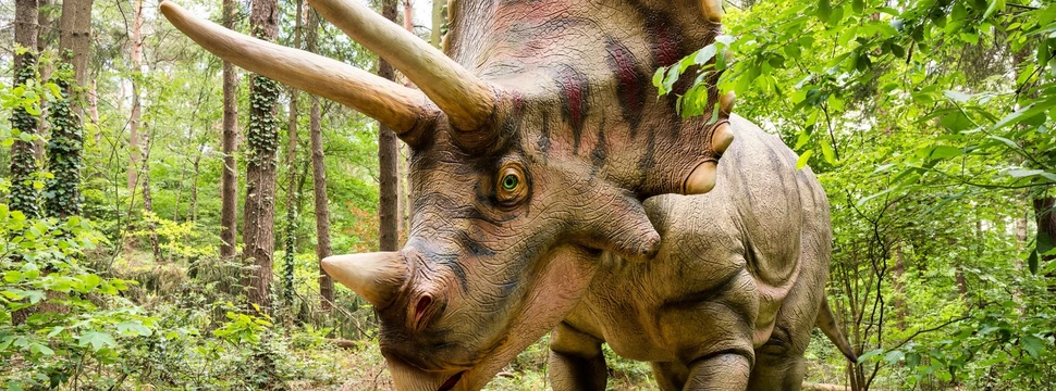 Triceratops in der Dinowelt Triceratops in der Dinowelt