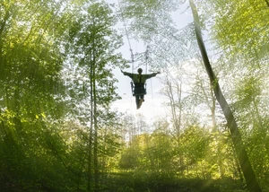 Ein Mann auf einer Riesenschaukel in einem Hochseilgarten im Wald
