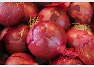 wochenmarkt_22cpixabay_1