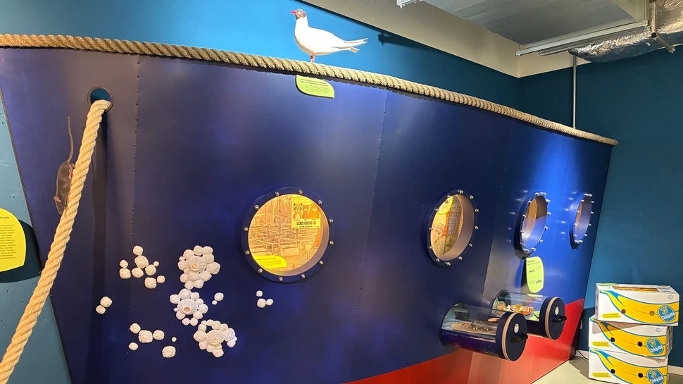 Ausstellung mit Schiffsrumpf im NaturRaum HafenCity
