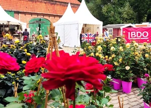 British Flair mit Country Fair