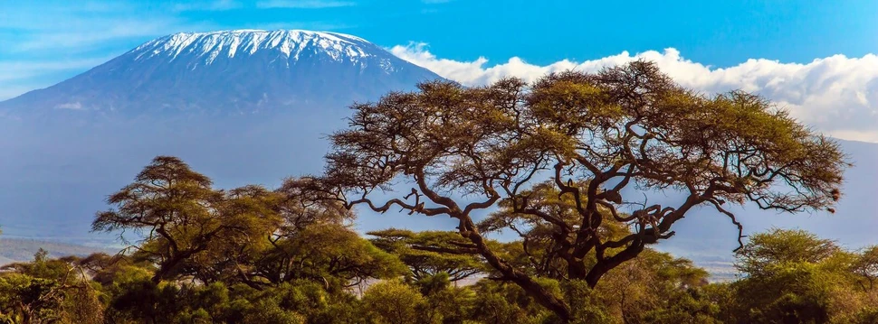 Der Kilimandscharo vom Amboseli-Nationalpark aus fotografiert. © Kushnirov Avraham / Adobe Stock