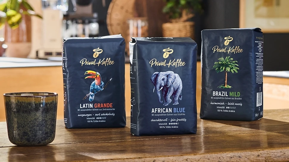 Eine Frau auf einer Kaffeeplantage erntet Kaffeebohnen