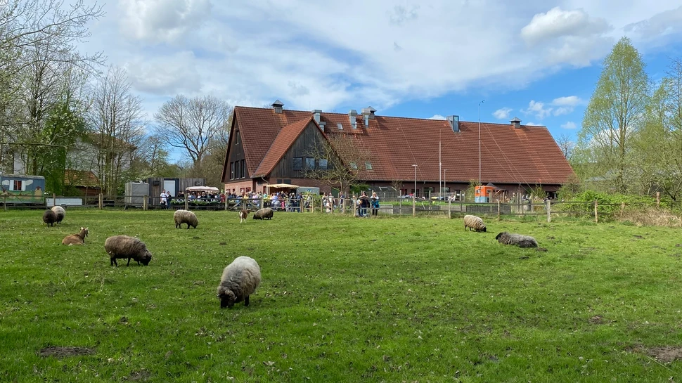 Gut Karlshöhe mit Schafwiese