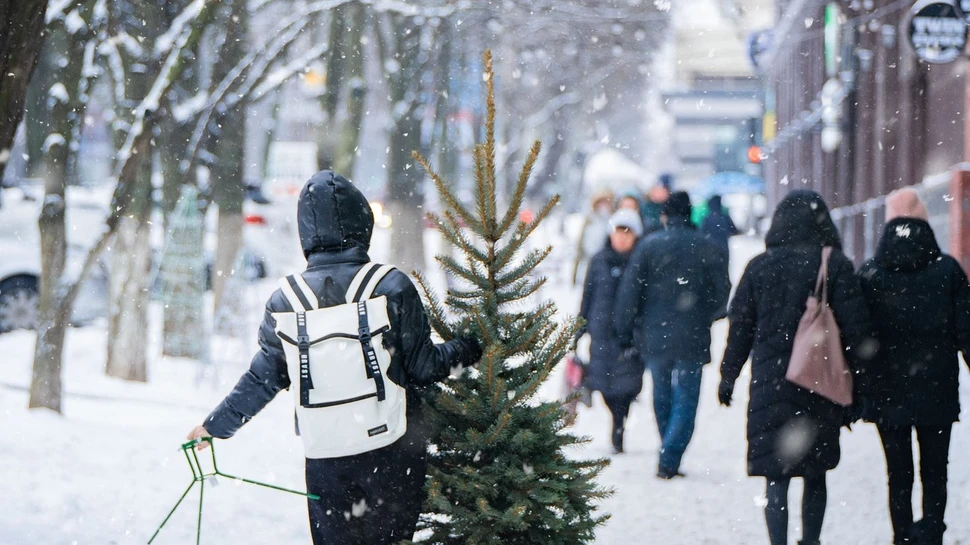Mensch in dunkler Jacke trägt einen Tannenbaum durch eine verschneite Einkaufsstraße