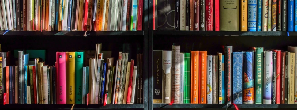 Bücherregal in einer Buchhandlung, © Pixabay.com/Lubos Houska