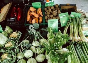 Verkaufsstand mit Bio-Gemüse