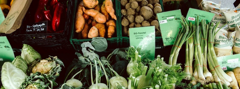 13-gesunde-Biokisten-in-Hamburg