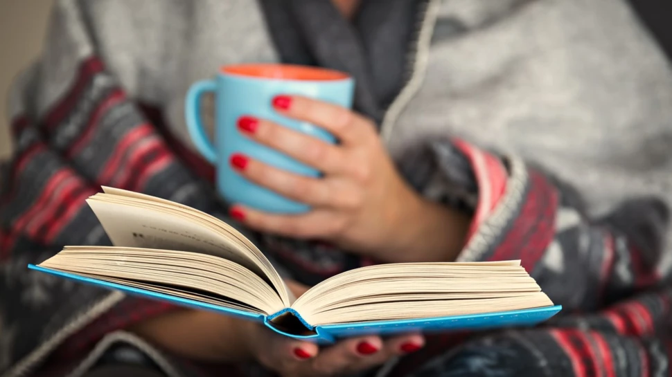 Buch lesen, iStock.com/fotyma