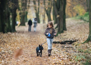 Gassi gehen, © iStock/DuxX