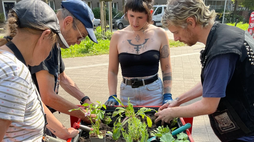 mehrere Personen bepflanzen ein rotes Hochbeete