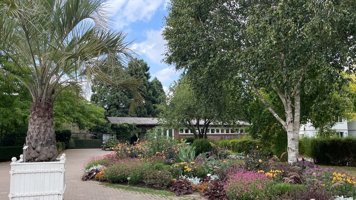 Galerie-Bild 3: Eingang vom Loki-Schmidt-Garten