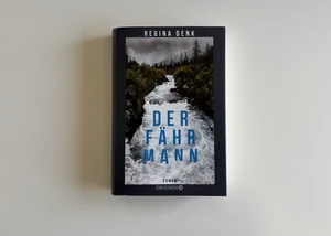 Cover des Romans "Der Fährmann"