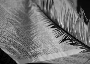 schwarz-weiß Bild von einem aufgeschlagenen Buch und einer Feder
