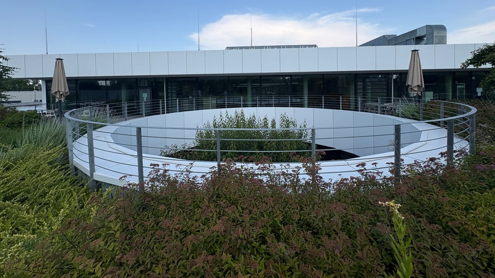 Blick über das begrünte Dach des Max Planck Institures