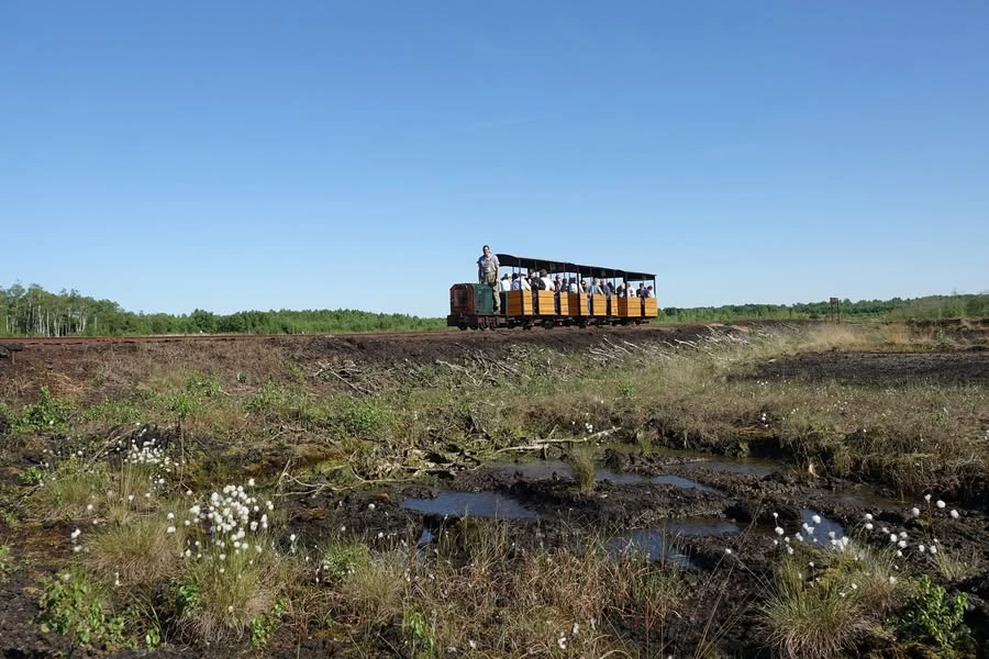 Torfbahn im Moor Torfbahn im Moor