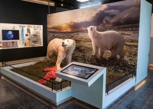 Museum der Natur Hamburg – Zoologie, © Centrum für Naturkunde (CeNak)