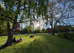 Wiese in Parkanlage Planten un Blomen